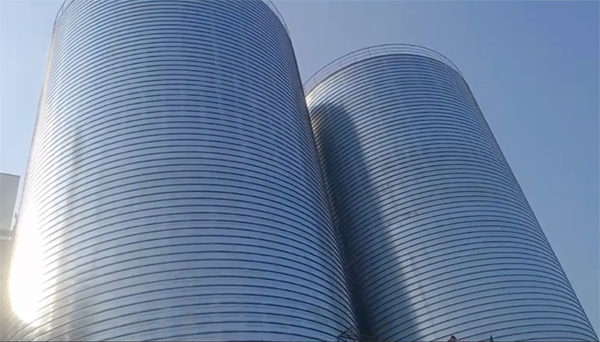 古浪2座混凝土高架卷板仓